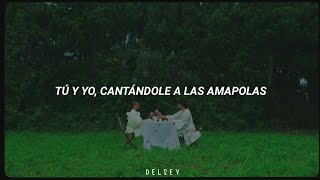 Leo Rizzi  Amapolas Letra  Video Oficial [upl. by Ayk]