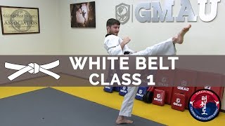 Taekwondo Follow Along Class  White Belt  Class 1 [upl. by Kaye]