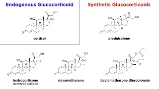 Glucocorticoids Mechanisms and Side Effects [upl. by Silbahc]