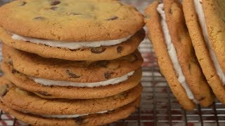 Chocolate Chip Sandwich Cookies Recipe Demonstration  Joyofbakingcom [upl. by Rento268]