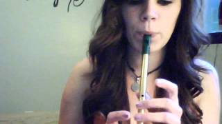 Dulaman Tin Whistle Cover [upl. by Keemahs]