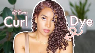 Dye Curly Hair At Home NO DAMAGE or BLEACH  Hair Color Transformation [upl. by Odessa]