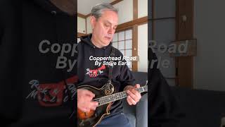 Copperhead Road Steve Earle Mandolin rockpopmandolin shorts shortsvideo [upl. by Aical866]