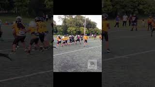 scrimmage football elite youtubeshorts ironsharpensiron nfl touchdown youthfootball sports [upl. by Yekciv]