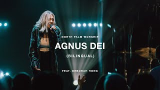 quotAgnus DeiBilingualquot by Deborah Hong and Michael W Smith  North Palm Worship [upl. by Jarlen578]