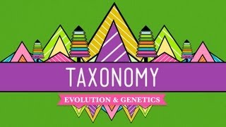 Taxonomy Lifes Filing System  Crash Course Biology 19 [upl. by Assiralk]