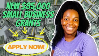 NEW 85K SMALL BUSINESS GRANTS IN 2024  Apply Now [upl. by Etteniuq]