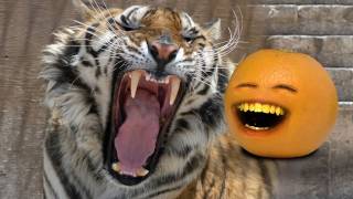 Annoying Orange  Deadline At Daneco Shocktober [upl. by Rickie344]