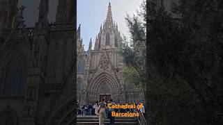 Cathedral of Barcelona Spain 🇪🇸 shorts shortfeeds [upl. by Ethelstan122]