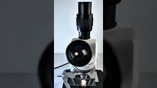 At 400x magnification the watermelon still appears very juicy microscope science shortsvideo [upl. by Hjerpe]