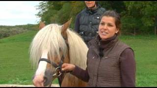 Reiten im Urlaub in Mecklenburg Vorpommern [upl. by Locin50]