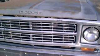 1980 dodge W200 [upl. by Nodroj]