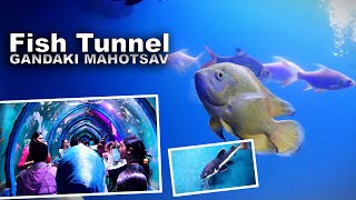 FISH TUNNEL in Gandaki Mahotsav 2081  Anish Miya  Marine Creature Explore  fishtunnel mahotsav [upl. by Fahy238]