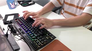 커세어 K70 RGB TKL 스피드 은축 타건 [upl. by Ricker]