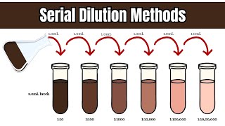 Serial Dilution in Microbiology Formula Procedure Applications and Practical Examples [upl. by Anoniw]