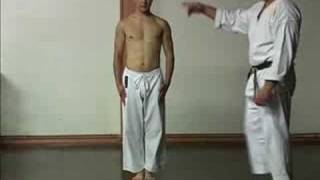 GOJU RYU KARATE  THE SANCHIN KATA [upl. by Adidnere]