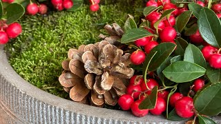 ❄️ Wintergreen  Gaultheria  Arrangement ❄️ [upl. by Nimaynib286]