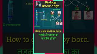 Human Chromosome  X Linked Inheritance  Alleles  XY Chromosome  How To Boy And Girl Born [upl. by Redep]