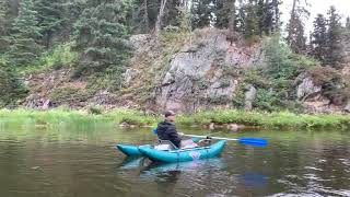 Stellako River fishing [upl. by Labotsirhc]