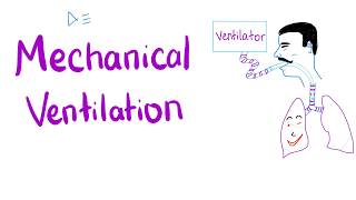 Mechanical Ventilation  Most COMPREHENSIVE Explanation 🤫 [upl. by Melinda]