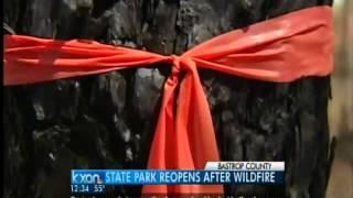 Bastrop State Park reopens [upl. by Uos]