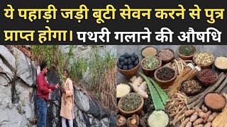 ayurvedic herbal medicine  जड़ी बूटी से बड़े से बड़े रोग छूमंतर  पुत्र प्राप्ति औषधि । Jadi buti [upl. by Dett]