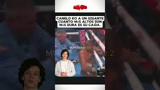 Cuanto más Alto más Dura es su Caída Canelo Noquea a un Gigante boxeo boxing box canelo [upl. by Fevre966]