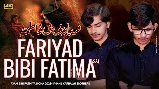 Noha Bibi Fatima Zahra 2023  Faryad e Bibi Fatima  Ayam e Fatimiyah Noha 2022  Karbalai Brothers [upl. by Gilbye575]