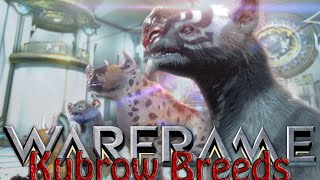 Warframe  Kubrow Breeds amp Mods [upl. by Eidaj]