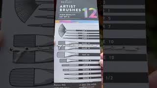 Unleash Artistry Pro Brush Set for All Mediums [upl. by Tennies]