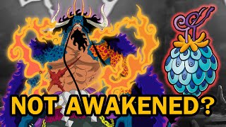 Zoan Devil Fruit Awakening Explained  One Piece Wiki [upl. by Kasevich]