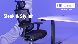 A perfect pair  Karbon Dual Motor Electric SitStand Desk amp Parity Executive Mesh Office Chair [upl. by August]