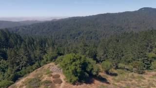 4K DJI Phantom 4  California Woods and Mountains Drone Footage [upl. by Drofwarc492]