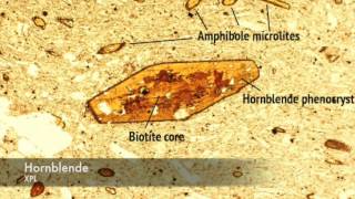 Hornblende vs Biotite under PPL and XPL [upl. by Milka]