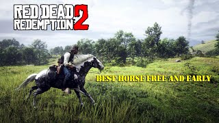 Get the Missouri Fox Trotter Early in CHAPTER 2 Red Dead Redemption 2 [upl. by Janis]