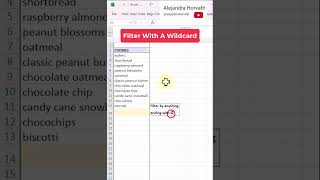 Filter With Wildcard excel tutorial [upl. by Aiker]