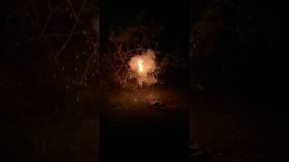 Waterfall with eco sound available fireworks pyrotecnic fireworksindia crackers [upl. by Akerdna]