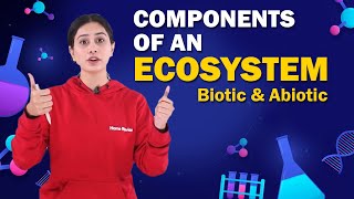 Components of an Ecosystem  Biotic and Abiotic  Biology  Class 8 ICSE  Home Revise [upl. by Burra]