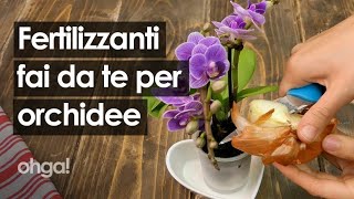 Fertilizzante per orchidee 3 preparazioni casalinghe per far fiorire la tua orchidea [upl. by Ramal]