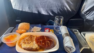 TRIP REPORT United Airlines first class  Santo Domingo To Newark B 737900 [upl. by Reni]