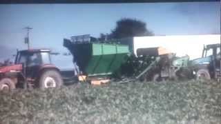 Beet harvester Armer salmon st3 [upl. by Zannini698]