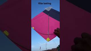 Patang looting li💞 kite looting from ground🔥kitelooting patangkite shortsfeed 🧶 [upl. by Maurice]