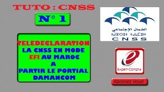 Explication Nouveau Portail DAMANCOM Télédéclaration mode EFI 2018 [upl. by O'Reilly]