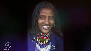 best BORANA OROMO Music [upl. by Acisset889]