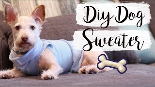 Easy DIY Dog Sweater No Sew  Pet DIYs [upl. by Fonz223]