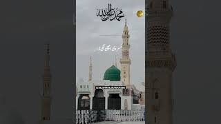 ہم فقیروں کو مدینے کی گلی اچھی لگی 🕋☝💯 kaabalive ytshort tawafekaba hajj2024 makkahofficial [upl. by Yenmor]