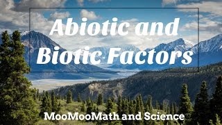 Difference between Abiotic and Biotic Factors [upl. by Mauro]