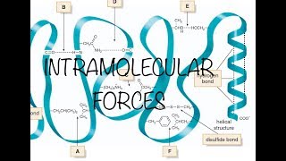 INTRAMOLECULAR FORCES [upl. by Holleran]