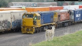 New Zealand Trains Westfield Yard Goat 09Apr14 [upl. by Osgood438]