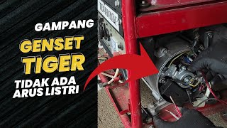 Mengatasi Genset Tiger tidak mengeluarkan Arus Listrik TG4800E  Kahar Bakri [upl. by Acinet]